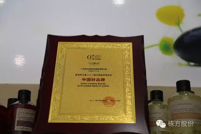 科技引領(lǐng)美麗▏棟方股份榮獲“中國(guó)好品牌獎(jiǎng)”！