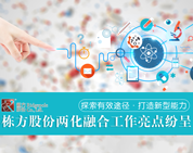 探索有效途徑，打造新型能力——棟方股份兩化融合工作亮點(diǎn)紛呈