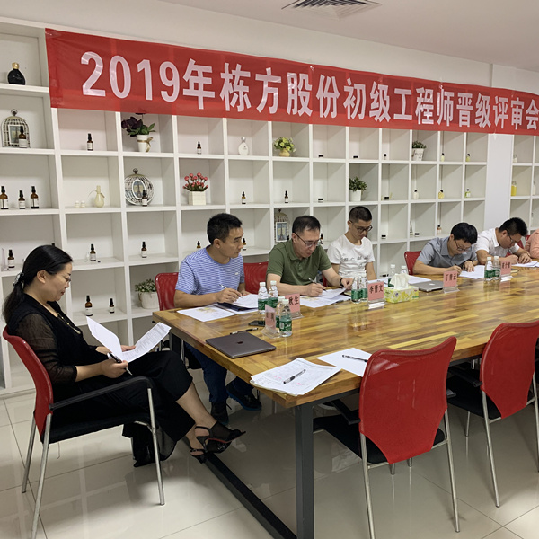 匠心筑夢，人才培養(yǎng)丨棟方股份2019初級工程師晉級評審會順利舉行